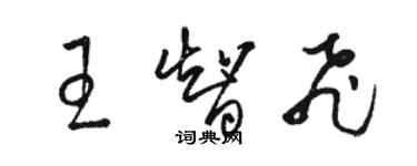 骆恒光王智飞草书个性签名怎么写