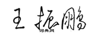 骆恒光王振鹏草书个性签名怎么写