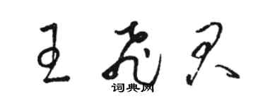 骆恒光王飞君草书个性签名怎么写