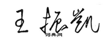 骆恒光王振凯草书个性签名怎么写