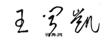 骆恒光王闻凯草书个性签名怎么写