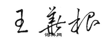 骆恒光王华根草书个性签名怎么写