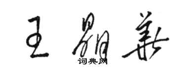 骆恒光王晶华草书个性签名怎么写