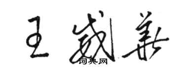 骆恒光王威华草书个性签名怎么写