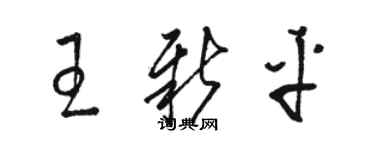 骆恒光王新平草书个性签名怎么写