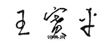骆恒光王赛平草书个性签名怎么写