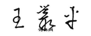 骆恒光王丛平草书个性签名怎么写