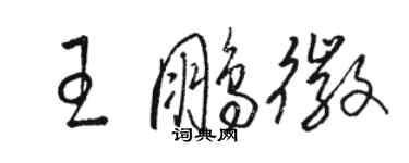 骆恒光王鹏徽草书个性签名怎么写