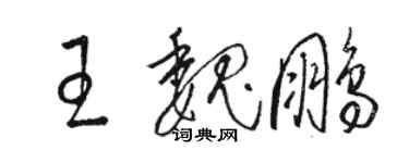 骆恒光王魏鹏草书个性签名怎么写