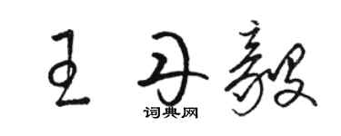 骆恒光王丹毅草书个性签名怎么写