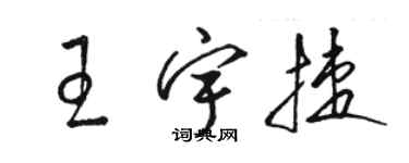 骆恒光王宇捷草书个性签名怎么写
