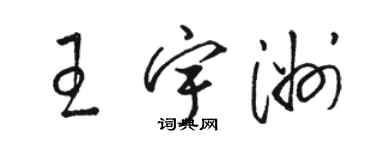 骆恒光王宇洲草书个性签名怎么写