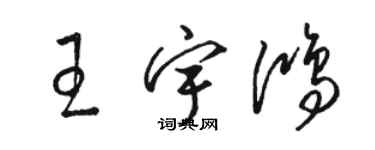 骆恒光王宇鸿草书个性签名怎么写