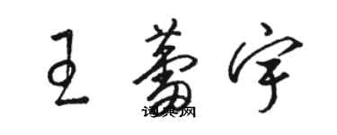 骆恒光王蕾宇草书个性签名怎么写