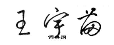骆恒光王宇苗草书个性签名怎么写