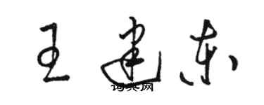 骆恒光王建东草书个性签名怎么写
