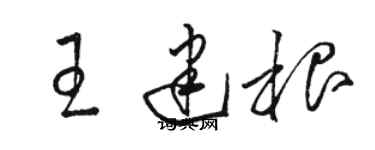 骆恒光王建根草书个性签名怎么写