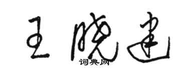 骆恒光王晓建草书个性签名怎么写