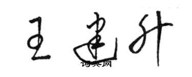 骆恒光王建升草书个性签名怎么写