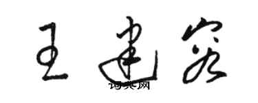 骆恒光王建容草书个性签名怎么写