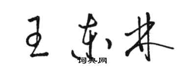 骆恒光王东林草书个性签名怎么写