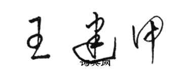 骆恒光王建甲草书个性签名怎么写