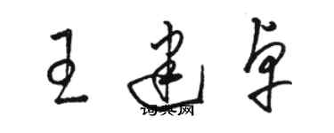 骆恒光王建卓草书个性签名怎么写