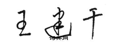 骆恒光王建干草书个性签名怎么写