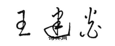 骆恒光王建炎草书个性签名怎么写