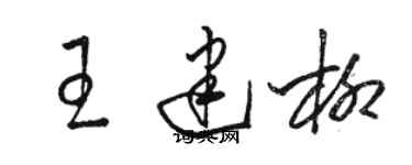 骆恒光王建柳草书个性签名怎么写