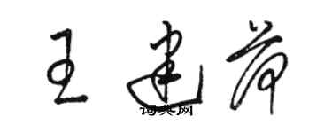 骆恒光王建荷草书个性签名怎么写