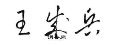 骆恒光王成兵草书个性签名怎么写