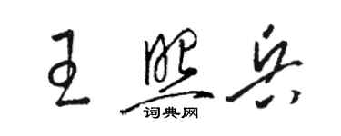 骆恒光王照兵草书个性签名怎么写