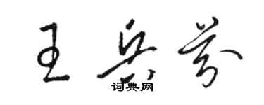 骆恒光王兵芬草书个性签名怎么写