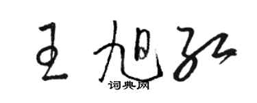 骆恒光王旭红草书个性签名怎么写