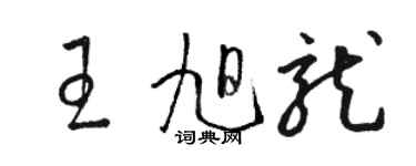 骆恒光王旭龙草书个性签名怎么写
