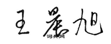 骆恒光王晨旭草书个性签名怎么写