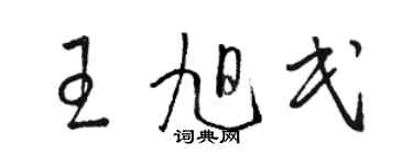 骆恒光王旭民草书个性签名怎么写
