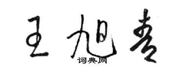 骆恒光王旭青草书个性签名怎么写