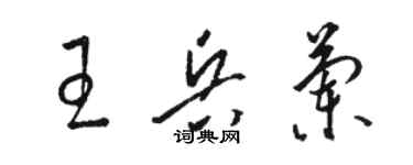 骆恒光王兵兰草书个性签名怎么写