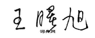 骆恒光王曙旭草书个性签名怎么写