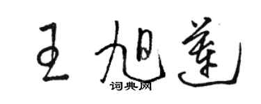 骆恒光王旭莲草书个性签名怎么写