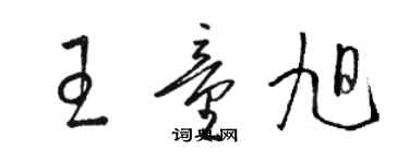 骆恒光王童旭草书个性签名怎么写