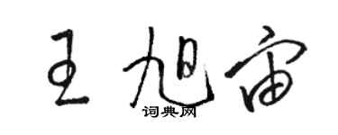 骆恒光王旭宙草书个性签名怎么写