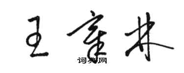 骆恒光王章林草书个性签名怎么写