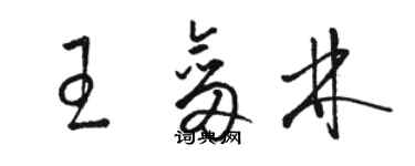 骆恒光王剑林草书个性签名怎么写