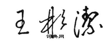 骆恒光王彬洁草书个性签名怎么写