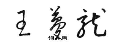 骆恒光王梦龙草书个性签名怎么写