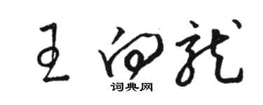骆恒光王向龙草书个性签名怎么写