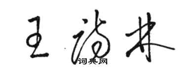 骆恒光王诗林草书个性签名怎么写